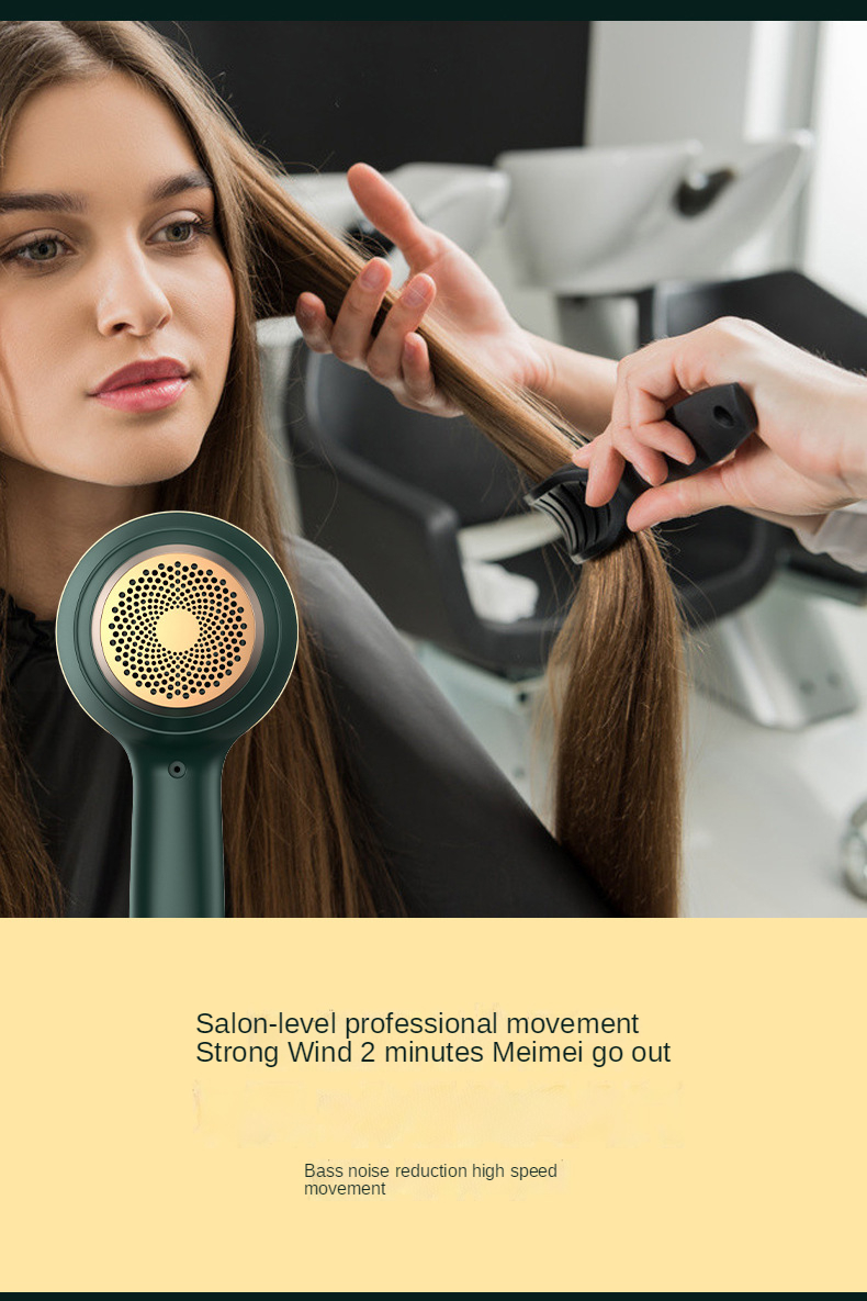 Hot Selling Salon Professional Dc Motor Concentrator/diffuser/ionic And Induction Function Professional Blow Hair Dryer