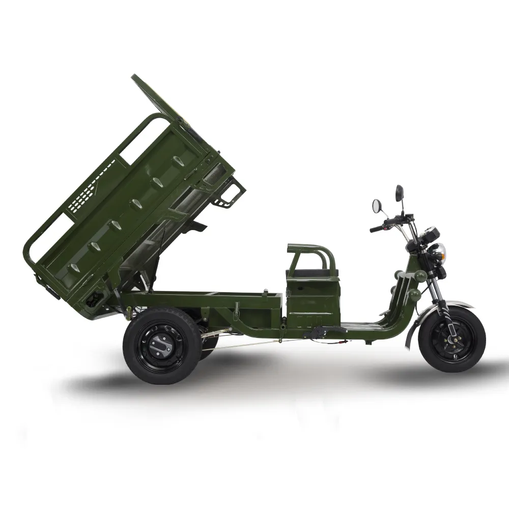 Piccolo altro motocicli Cargo triciclo elettrico auto E Scooter Dump Trike per adulti
