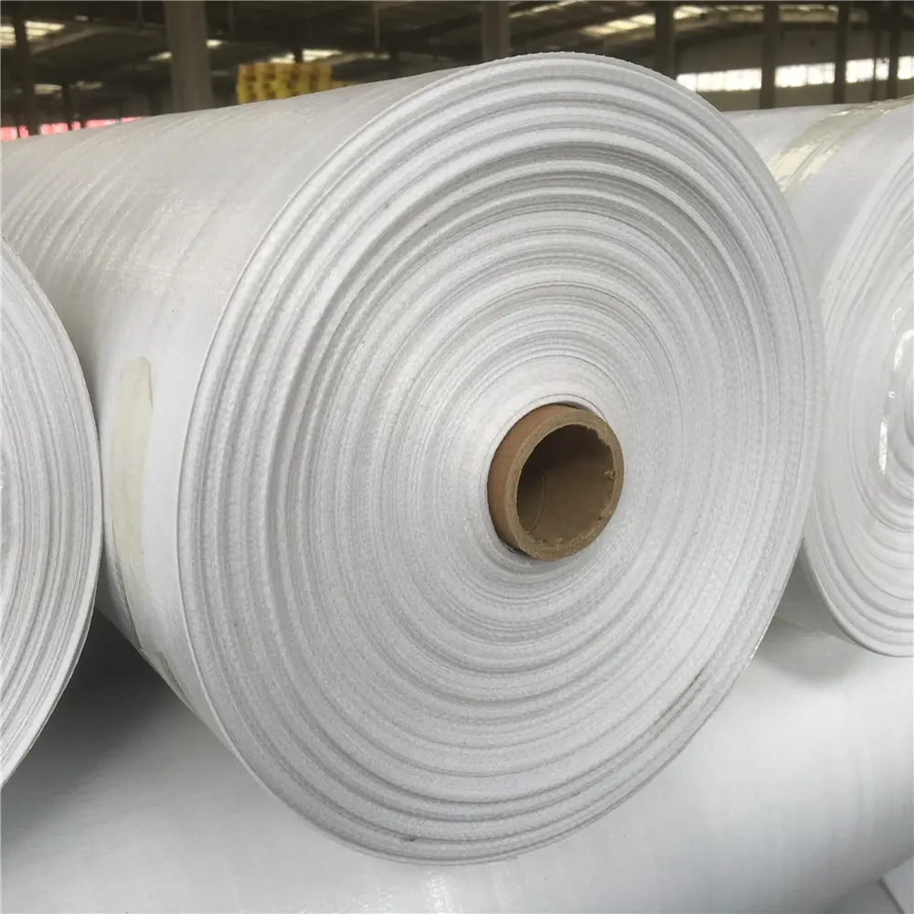 China Fabrikant Alle Soorten Waterdichte Heavy Duty Tarp Canvas Pe Dekzeil Roll/Voor Afdrukken