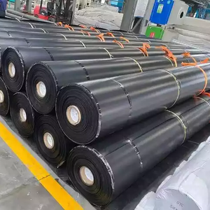 Su geçirmez Geomembranas HDPE astar üreticisi fiyat gölet için 1.2mm 1.5mm Hdpe geomembran - Product Image 3