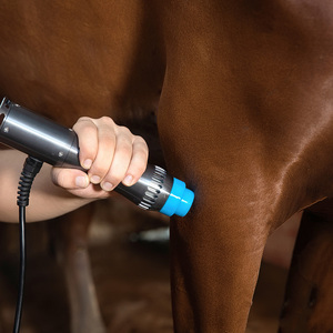 Chất Lượng Cao Sw200 Thú Y Tập Trung Shockwave Máy Trị Liệu Cho Racehorse Chó Mèo Phục Hồi Chức Năng - Product Image 1