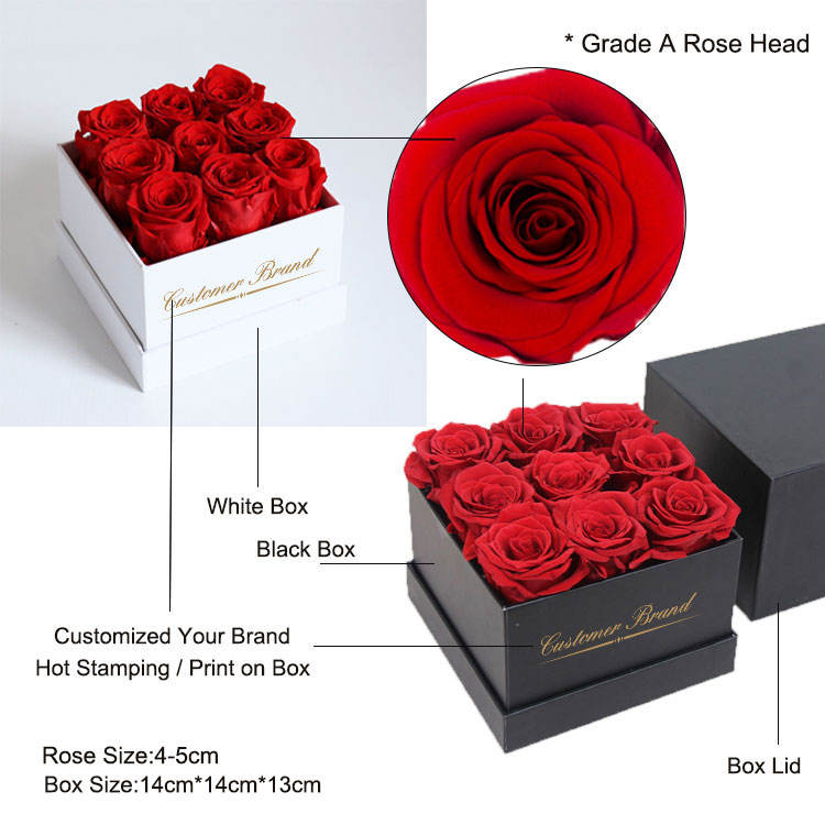 วัตถุดิบ