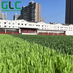 Hạt giống cỏ bóng đá tự nhiên chất lượng cao nhất, cỏ cỏ, sân bóng đá, sân thể thao cỏ nhân tạo - Product Image 2