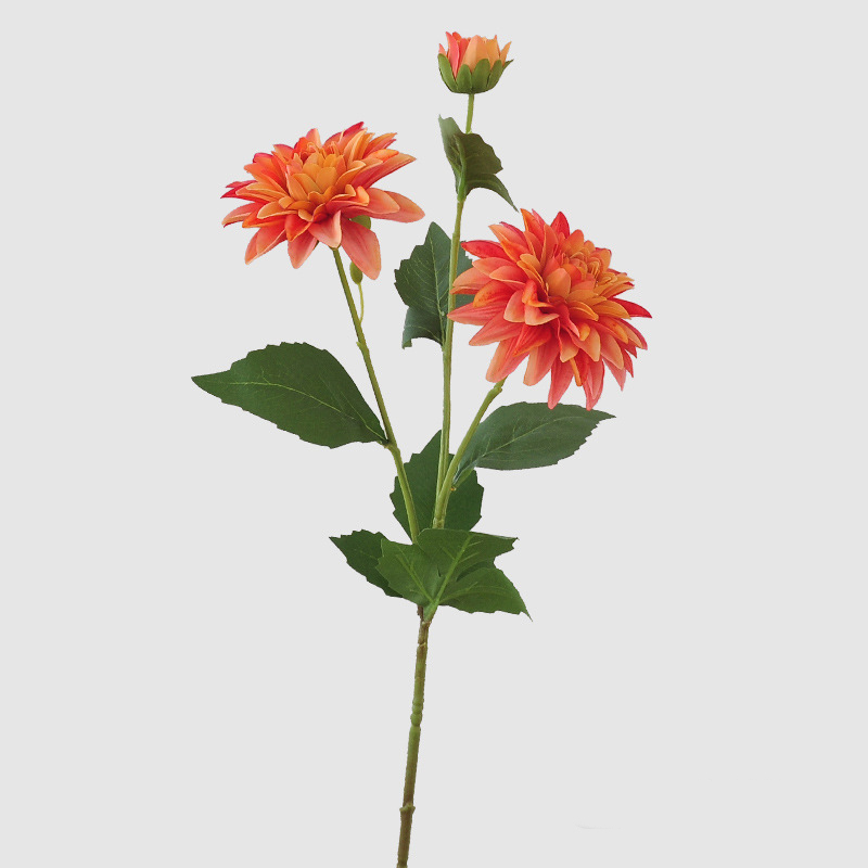 สีส้ม