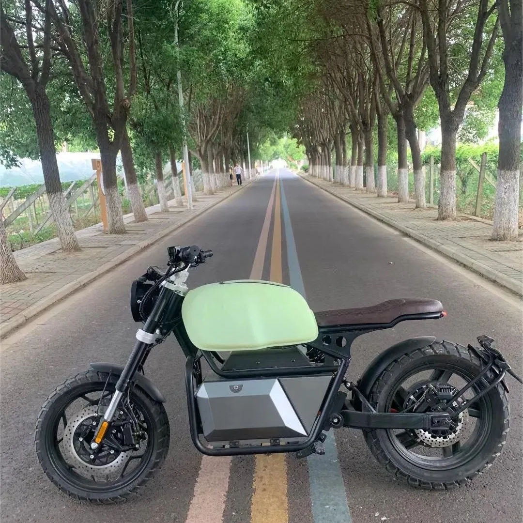 EEC onaylı Retro 60V 2000W 3000W güçlü elektrikli scooter için İtalya tarzı elektrikli motosiklet yetişkin 2wd elektrikli yağ lastik bik