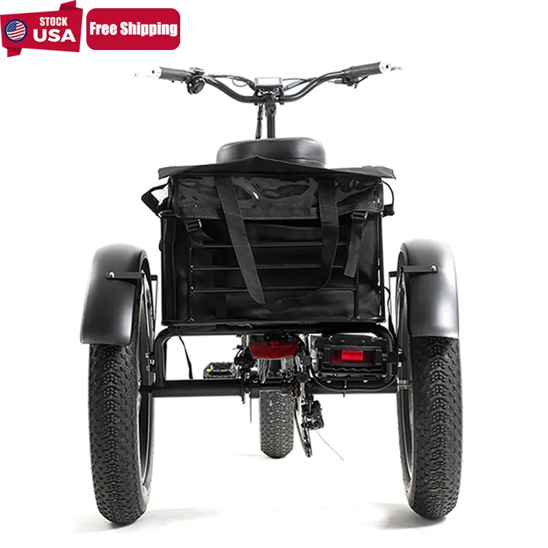 ANLOCHI Bafang 750W E-cargo E Trike with Pedal E-trikes 3 Wheel Electric Adult Tricycles USA for Adults LCD 48V CargoEec Open