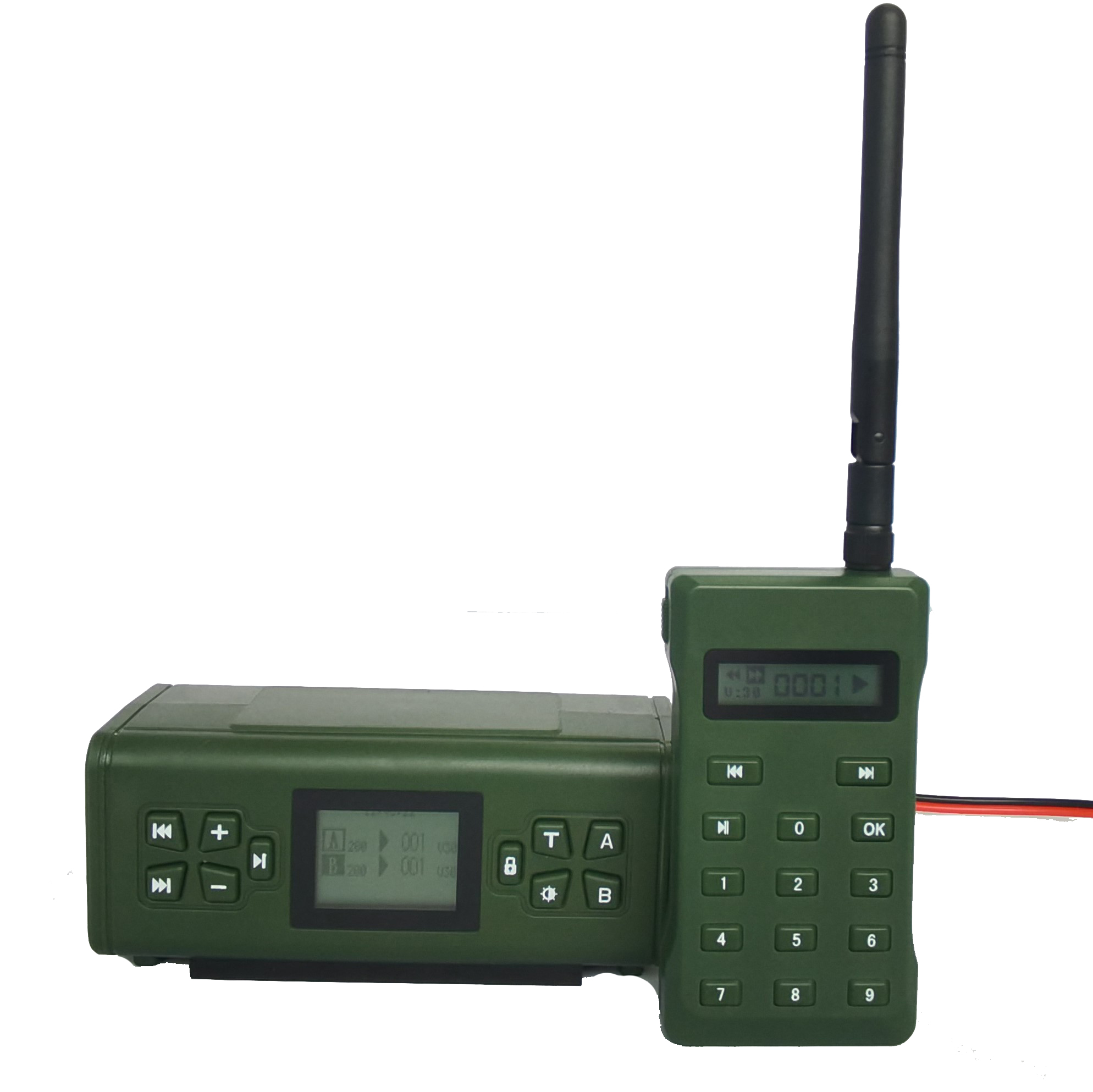 verde 01