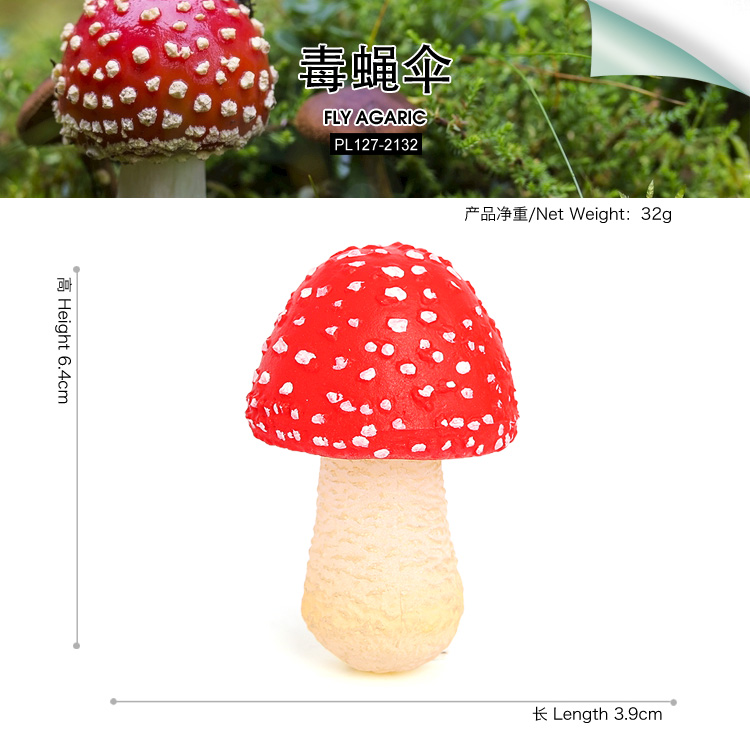 2132 Fly agaric Fly amanita