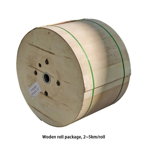 CTC CS/CTC CS 8 çekirdek ftth 2km LSZH 2 4 6 8 çekirdek açık zırhlı çelik kemirgen geçirmez damla kanalı Fiber optik kablo metre başına - Product Image 3