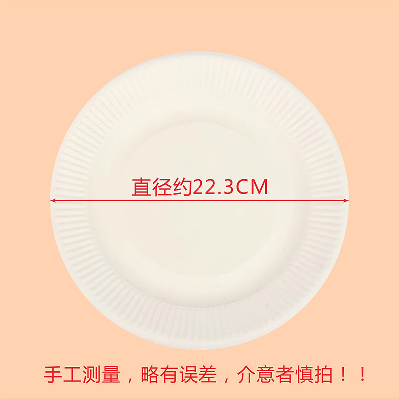9-inch paper plate (approximately 23cm in diameter)