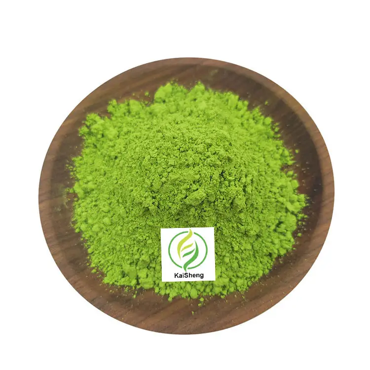 Polvere di tè verde Matcha certificata biologica sfusa di alta qualità