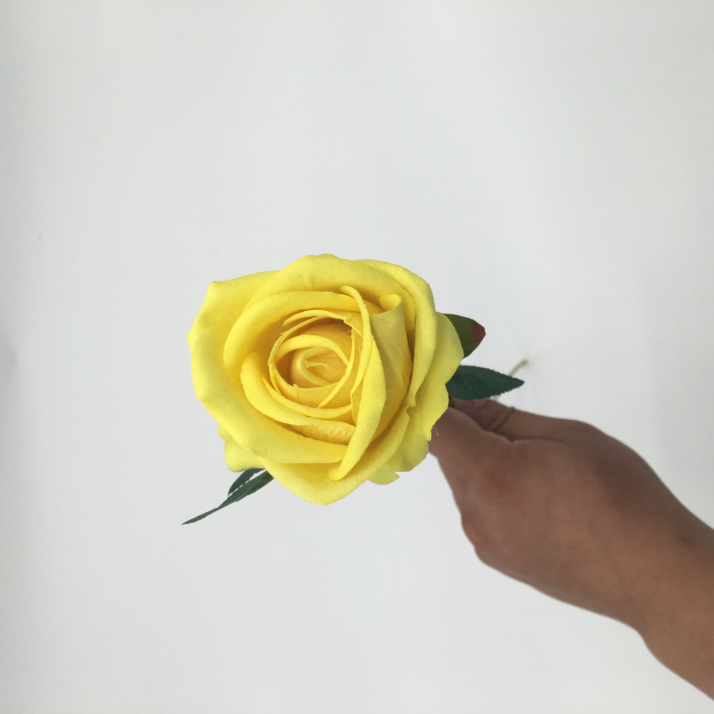 Yellow 2