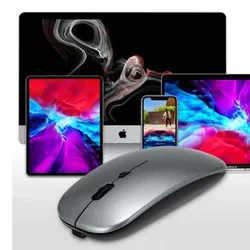 souris BT +2,4g grise