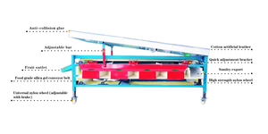 Prezzo di fabbrica inverno giuggiola datteri palma rossa datteri macchina per la classificazione della dimensione della frutta dell'uva selezionatrice - Product Image 3