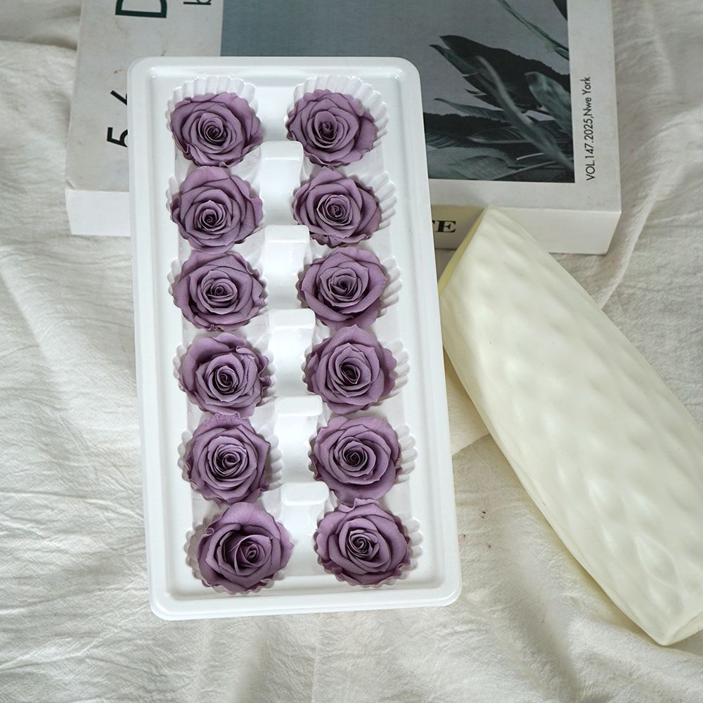 Pourpre