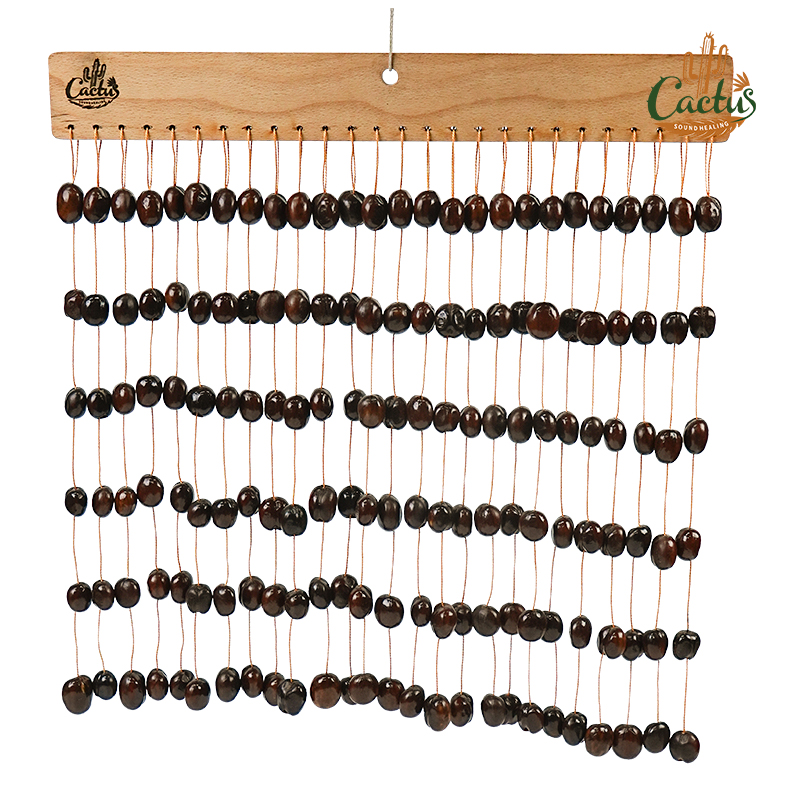 156 Coquilles de fleurs de haricot