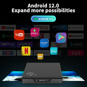 Prezzo di fabbrica spedizione veloce Android12 Quad Core 2.4G/5G Dual Band Wifi Internet Android Box - Product Image 5
