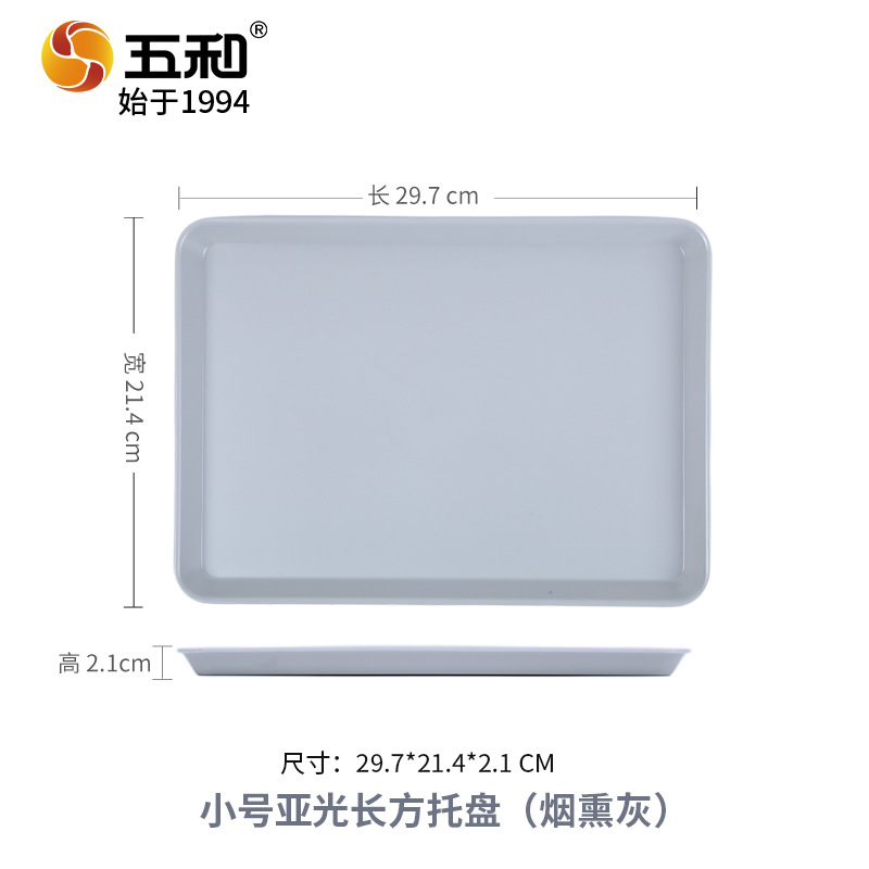 Small matte rectangular tray 4036C (smoky gray)
