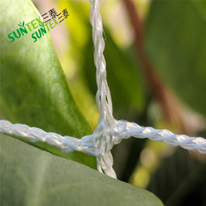 Trellis Netting Plant Support Net für Kletter pflanzen Vine Flowers, weißes Nylon 6 Zoll Mesh Garden Support Net - Product Image 3