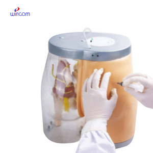 Medizinische Wissenschaft Menschliche Hand und Ellbogen Kombinierte Arm vene Punktion Injektion Blut Training Übungs modell - Product Image 2