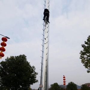 Nhà Ở Viễn Thông Đơn Cực Ăng-ten Cực Giá Của Tháp Truyền Thông - Product Image 6