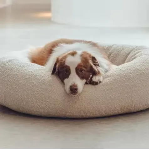 Tela de peluche extraíble, cubierta de tela Boucle, lavable a máquina, cama redonda suave para perros, cama ortopédica para perros
