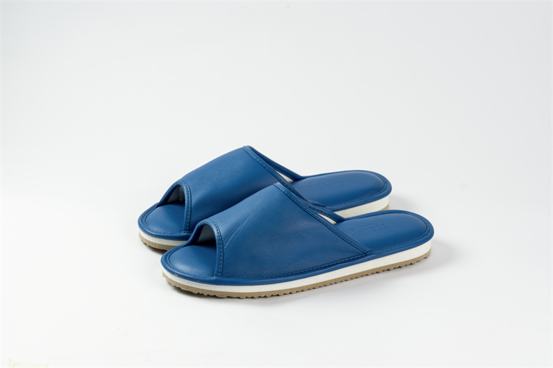 Bleu-C