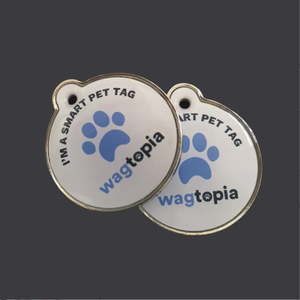 Venta superior 13,56 MHz Código Qr personalizado y Url programable Epoxy Nfc Pet Id Collar Tag para perro/gato - Product Image 5