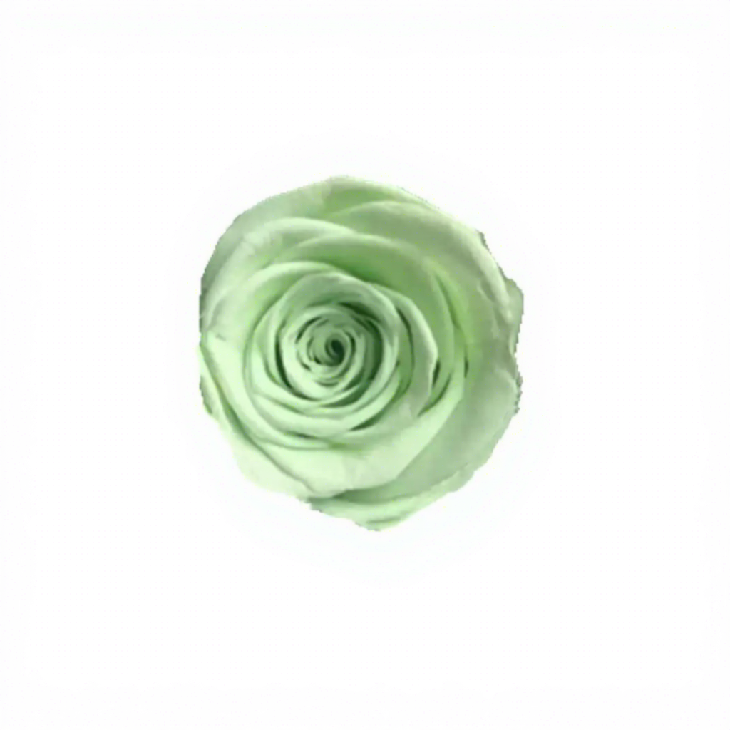 Verde chiaro Grado B