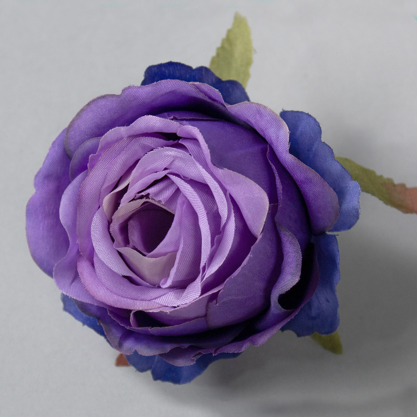 Dark Purple