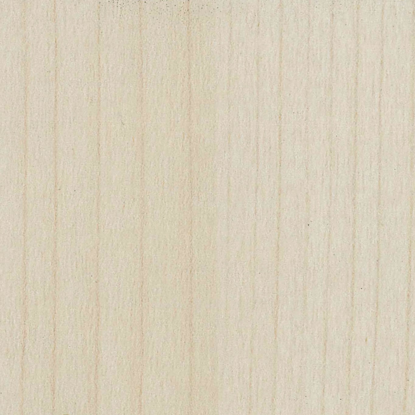 Maple