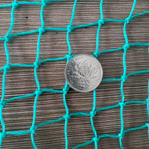 <strong>1</strong> Inch Plastic Chicken <strong>Netting</strong> for Poultry Farms and <strong>Gardens</strong> Protective Fence for Breeding Customizable Cutting Service - Product Image 4