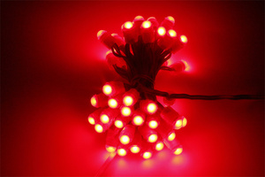 Pixel <strong>Led</strong> <strong>12V</strong> IP67 Waterproof 9mm SMD <strong>Led</strong> Pixel Light - Product Image 2