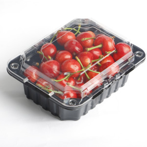 Tek kullanımlık şekil plastik saklama kutusu götürmek salata ambalaj PET kutusu çıkar - Product Image 3