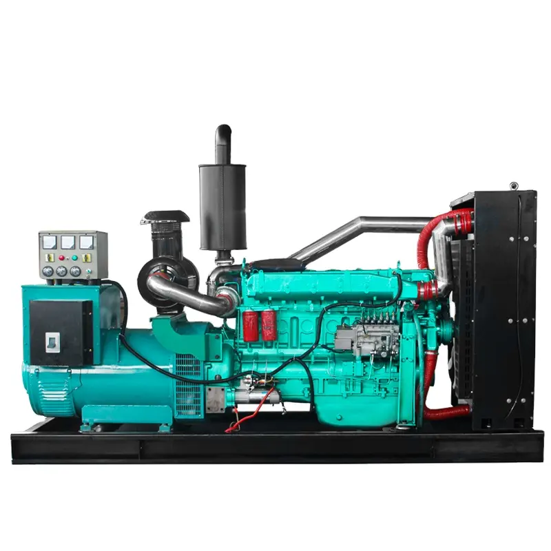 Prime Power 300kva Aardgas Generator 100% Koper Borstelloze Alternator Professionele Fabrikant Van Natuurlijke Generator