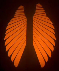 Ambre