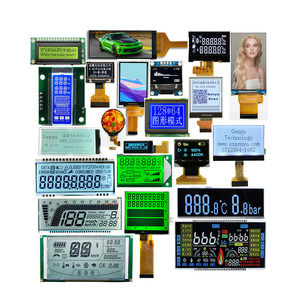 Benutzer definierte LCD-Anzeige OEM-Panel Monochrom 16 X2 Zeichen 128 X64 Grafik Zahnrad Fstn 7 Segment Va I2C Touch Benutzer definierter LCD-Bildschirm - Product Image 1