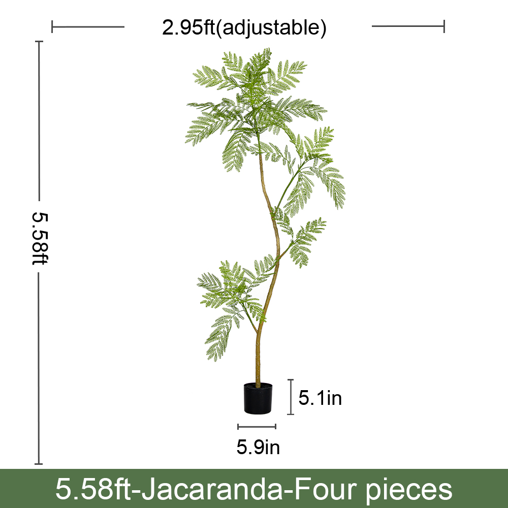 5.6FT/170CM
