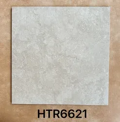 HTR66212