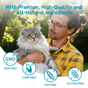 Порошок куркумы для собак, биоперин + глюкозамин, успокаивает боли в суставах, улучшает подвижность, уход за больными собаками при артрите - Product Image 4