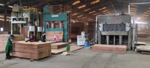 Premium Keruing/Marine 18mm Industrial Pine E0 Plywoods Durable Eco-Friendly Customizable For Bedroom Dining Indonesian-Made For