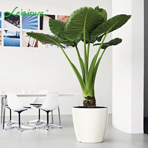 标志画花盆日本弯曲黄金pp selfwatering植物花盆 - Product Image 6