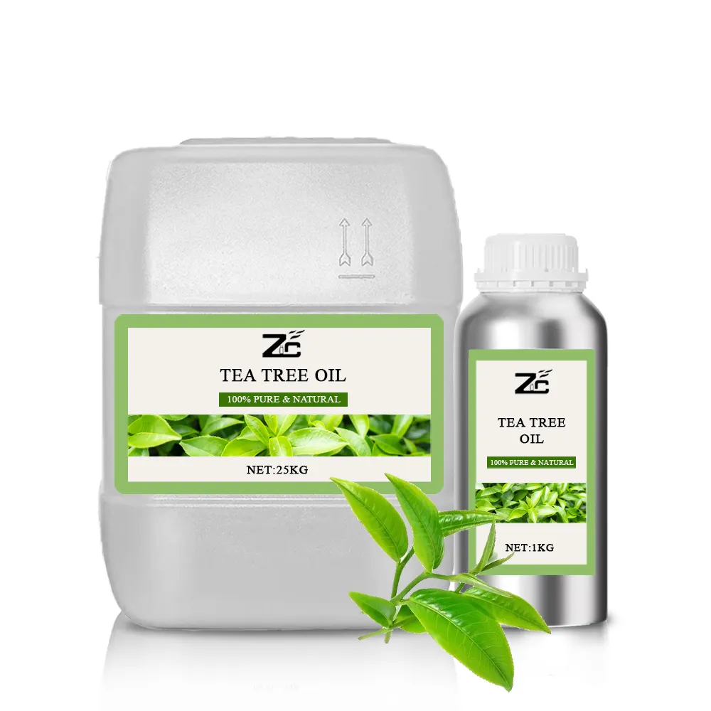 Hot Sale Australisches Teebaumöl 100% reines natürliches therapeut isches Teebaumöl für die Hautpflege Haarwuchs