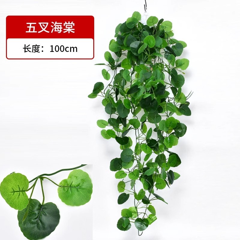 Hojas de begonia colgantes de cinco puntas -