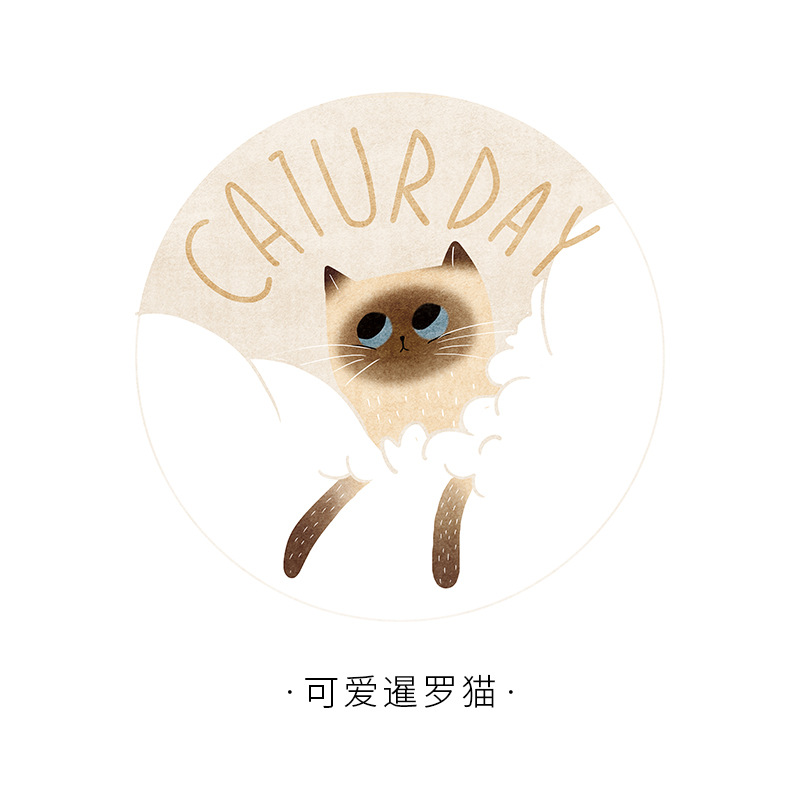 Cute Siamese cat