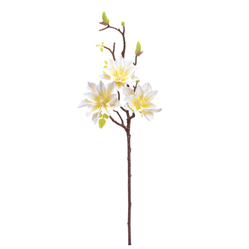 light-white