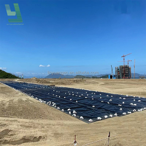 Düşük maliyetli fabrika HDPE geomembran astar 0.35mm 0.5mm 0.9mm 1.0mm 1.2mm 1.5mm balık çiftliği gölet gömlekleri - Product Image 2