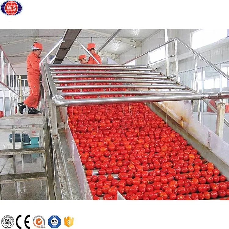 Pâte de tomate faisant la machine de traitement Ligne de production de concentré de tomate