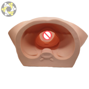 Midwifery Delivery Practice Model Medical Science <strong>Human</strong> Anatomy - Product Image 6