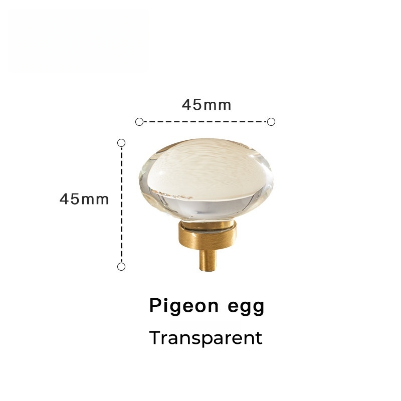 Oeuf de pigeon transparent